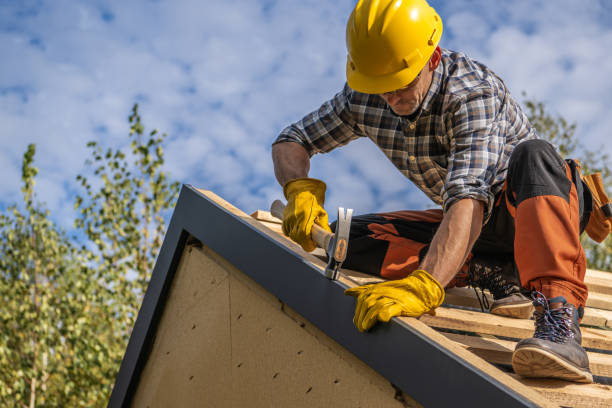 Best Asphalt Shingle Roofing  in Burien, WA